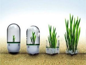 09lug-crescita-personale-pnl